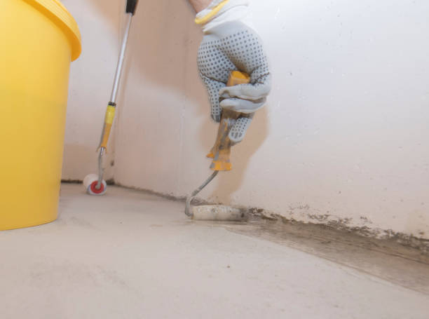 Best Pest Control for Multi-Family Homes  in Seneca, IL